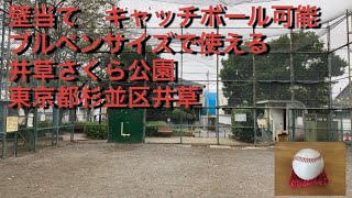 壁当てキャッチボール可能　井草さくら公園　東京都杉並区井草1-17