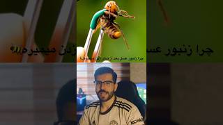 ❌چرا زنبور عسل بهد از نیش زدن میمیره🐝#shorts