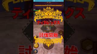 【MHXR】強襲！轟龍の修煉(危險度13單人限定)