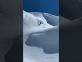 snowboarding frozen thrill rides. snow rush chronicles. glacier rush