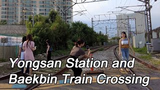 【SEOUL KOREA】🇰🇷 Yongsan Station Tour