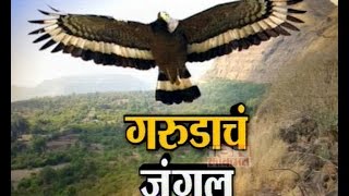 IBN Lokmat Special Show 'Garudach Jungle'