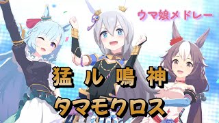 タマモクロスのポニーテールが可愛いすぎる！！ 【猛ル鳴神 タマモクロス】  ウマ娘 歌メドレー #ウマ娘　＃大空直美