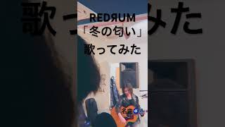 【🪬歌ってみた🪬】REDЯUM『冬の匂い』を歌ってみた。 #歌ってみた #弾き語り #cover #ギター #カバー #music #guitar #音楽