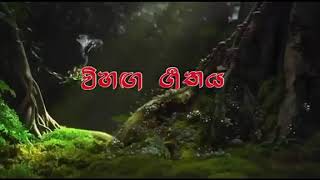 💐💐💐විහඟ ගී අඬහැරය 💐💐💐දහවන දිගහැරුම...