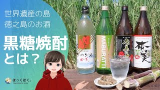 世界自然遺産の島で作られた徳之島のお酒【黒糖焼酎て何？】What is Brown sugar Shochu which made in world natural heritage island.