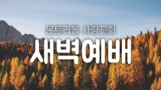 [몬트리올 사랑교회] 2024년 10월 17일 새벽예배 - 호세아 14:1-9