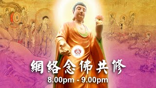 【同步】净土宗网络念佛【第1661天】+ 开示视频《靠佛最好》 04-10-2024 Online Recitation Session（晚上8pm-9pm (GMT+8))【打开CC字幕】