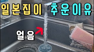 18년만의 강추위 일본 가정집 근황 (feat.수경화분)