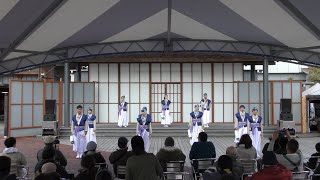 【公式】よさこいチーム八鹿2024『さく湖人』たびひろよさこい 演舞動画（午後の部1回目）