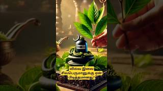 சிவபெருமானுக்கு ஏன் வில்வ இலை பிடித்தமானது? #சிவன் #vilvah #shiva #shiv #mahadev #bholenath #sivan