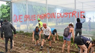 France : manifestation de militants écologistes contre l'exploitation du sable