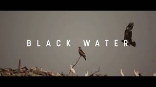 Sikdar & Rocky Glock - Black Water