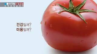 [YTN-1636지역경제살리기] 화순토마토