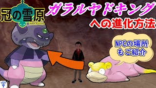 【ポケモン剣盾】ガラルヤドンからガラルヤドキングへの進化方法！＆必要な素材とNPCの場所をご紹介！！！【ポケモン】【冠の雪原】