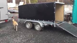 МЗСА 817732 двухосный прицеп для снегохода с откидным трапом и ЕВРО тентом. ЦЛП АРИВА