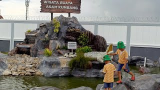 Penangkaran dan Wisata Buaya Asam Kumbang #buaya #asamkumbang #penangkaranbuaya