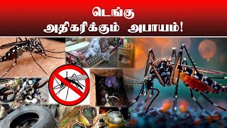 டெங்கு அதிகரிக்கும் அபாயம்! | Thedipaar News