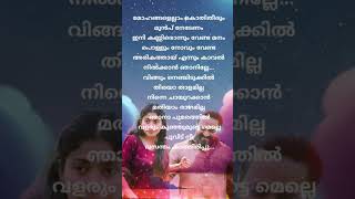 Achaa 🥺ini kanneer onnum venda Song Lyrics #athiranmoviesong #fahadhfaasilmovie #malayalamsonglyrics