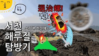 서천 해루질 탐방기(참소라)