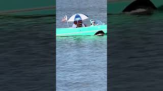 The Amazing Amphicar!!  #amphibious #shorts #disneysprings #boathouse #jamesbond #amazing #watercar