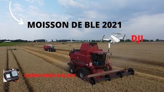 VLOG 2021 MOISSON DE BLE, AXIAL FLOW 2388 !!