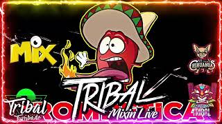 Tribal Mega Mix Febrero 2022 🔥 Lo Mas Chingon Del Tribal Mix 🔥 Tribal Tumbado Mix HD Sound