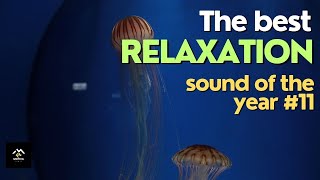 The best relaxation sound of the year #11