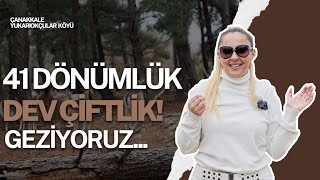 Çanakkalede Satılık! 41 Dönüm Dev Bir Çiftlik Turuna Çıkıyoruz