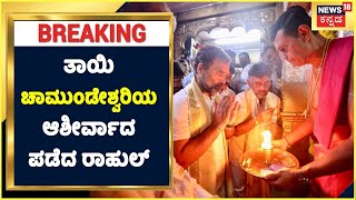 Rahul Gandhi in Myruru | ಚಾಮುಂಡೇಶ್ವರಿ ದರ್ಶನ ಪಡೆದ ರಾಹುಲ್ ಗಾಂಧಿ | Bharat Jodo Yatra | Siddaramaiah