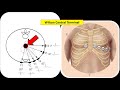 basic ecg reading