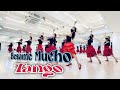 Besame Mucho Tango l Beginner Line Dance l  베사메 무초 탱고 라인댄스 l  Besame Mucho l Linedance