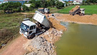 Amazing project!! Bulldozer D20P pushing soil with dump trucks filling up & Deleting huge Pond Area