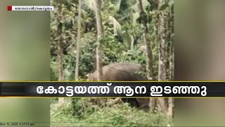 കോട്ടയത്ത് ഇടഞ്ഞ ആനയുടെ അക്രമണത്തിൽ പാപ്പാന് പരിക്ക്