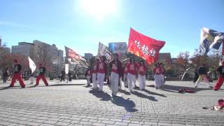 第８回　四日市よさこい祭り　やったろ舞　三重情熱組　さん