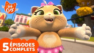 44 Chats | TOP 5 moments Pilou | Episodes complets | Dessins animés pour enfants