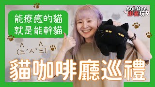 【🎥Ani-One出去玩】喵~尋找能幹貓！大規模貓皇恩寵現場(ﾉ*ФωФ)ﾉ