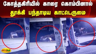 கோத்தகிரியில் காரை கொம்பினால் தூக்கி பந்தாடிய காட்டெருமை | Kotagiri | Bison attack | Car