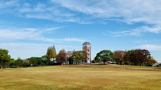 【公園】戸田川緑地 芝生広場 秋