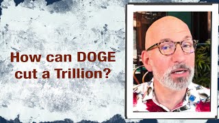 How can DOGE cut a trillion?