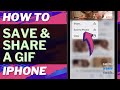 iOS 17: How to Save and Share a GIF from Search on iPhone