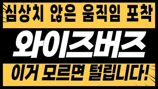 [주식]와이즈버즈 - 심상치 않은 움직임 포착! 이거 모르면 털립니다!