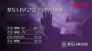 [포도나무교회] 주일 2부예배 20.08.09 ㅣ빛 되신 예수님께 순종합니다ㅣ정종원 목사