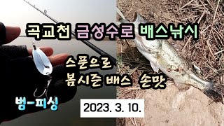 곡교천 금성수로 배스낚시 스푼루어 봄시즌 배스손맛~