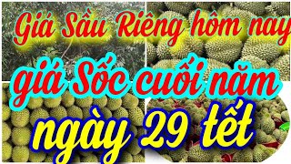 giá sầu riêng hôm nay ngày 28/1/2025