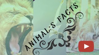 Animals  facts🐸🐋🐄🐎\\\\விலங்குகளின் சில திறன்கள் 🐊🐌 \\\\RIHA'S IDEAS