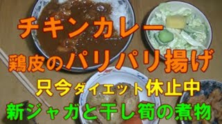 チキンカレーと鶏皮パリパリ揚げ