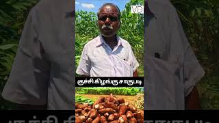 வருஷ வெள்ளாமை லட்சத்துல பார்க்கலாமா!! | Village Dictionary  #agriculture #funny #india #farming