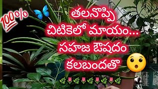 తలనొప్పి చిటికెలో  మాయం 😀