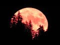 Astronomers Have Said The Full Strawberry Moon Event Will Be Happening Tonight